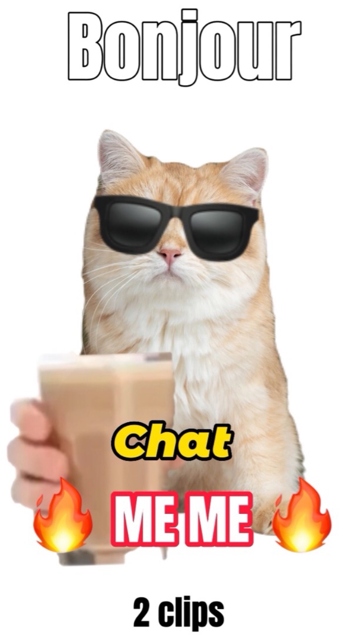 Chat MEME 
