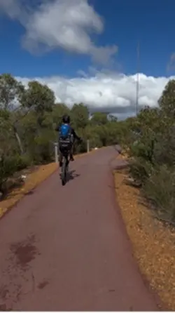 Wheelie