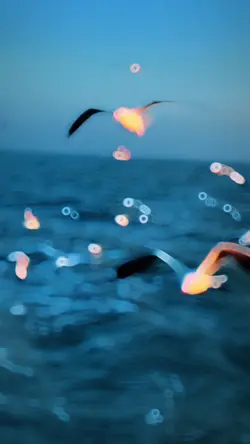 Slowmotion video 🌊🩵✨