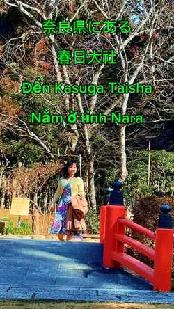 🌻THIY TIEN💕🍀🌷