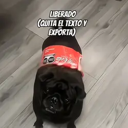 volví xd