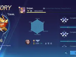 Ml