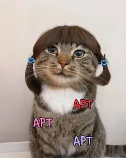 写真が喋り出すAIエフェクト🐱