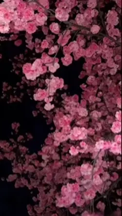 3dwallpaper