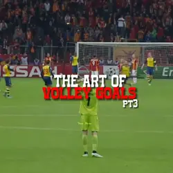 the art of Volleys