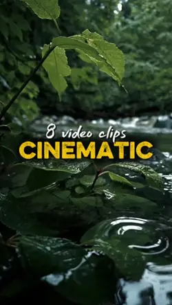 8 video clips