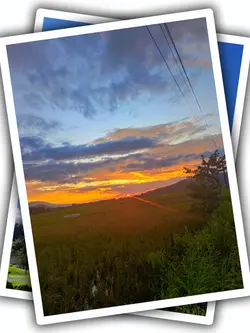 6Pic Aesthetic Trend