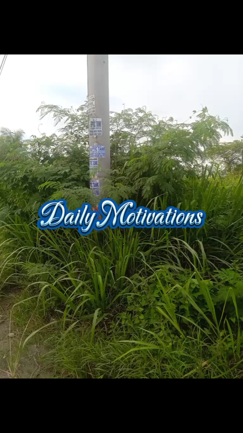 Daily Motivations
