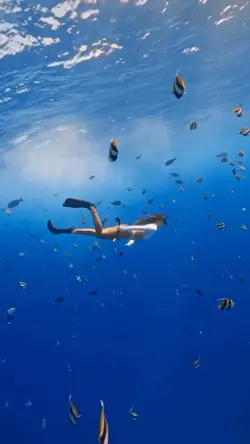 snorkeling