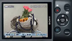Camera Vlog