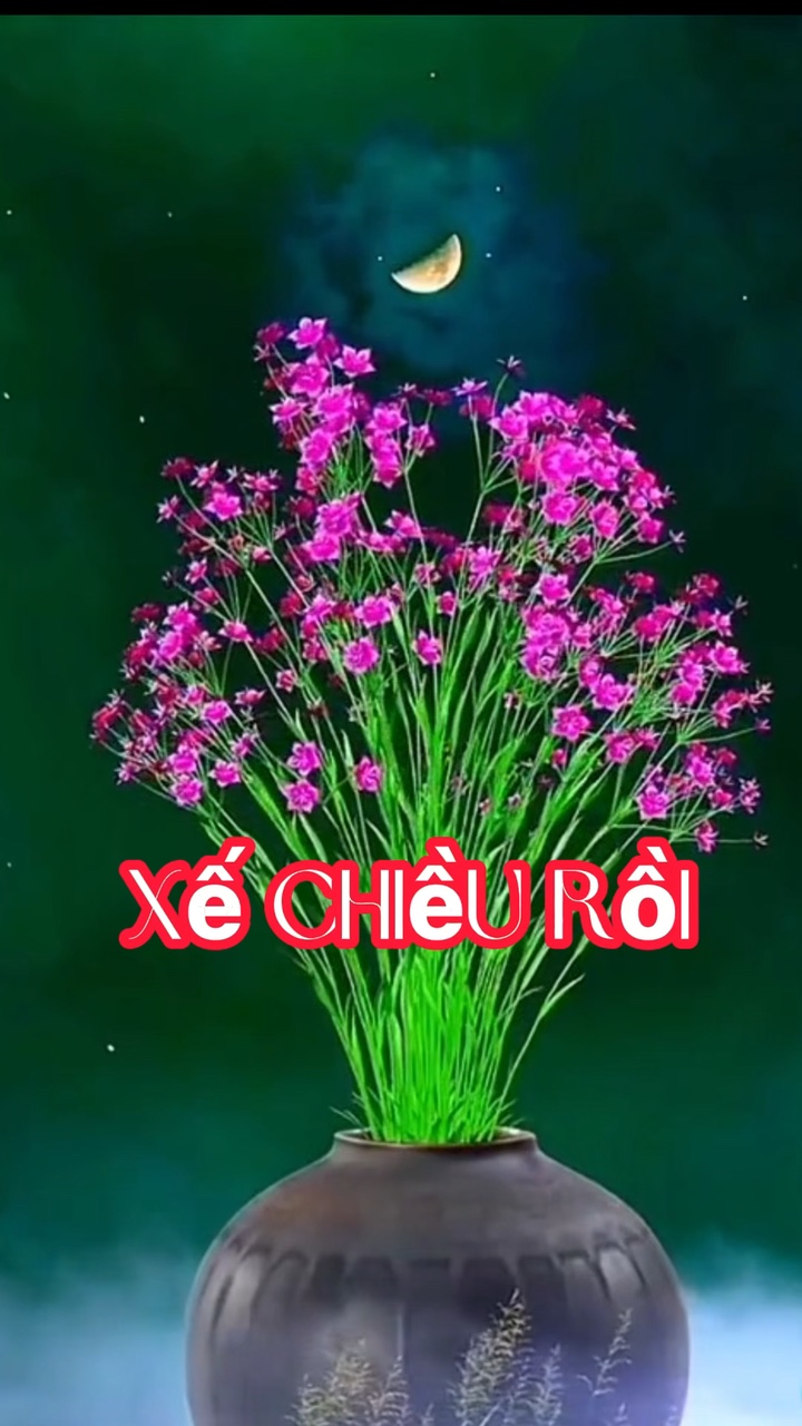 Xế chiều rồi 