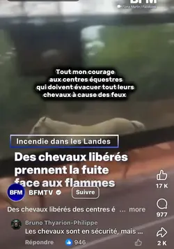 Les feux 🔥😞🥺