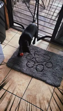 Slowmo Zoom