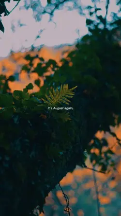 It’s August Again