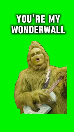 My Wonderwall