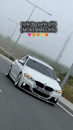 Mükemmelsin