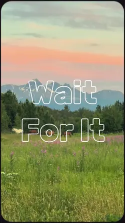 Travel x Wait For It