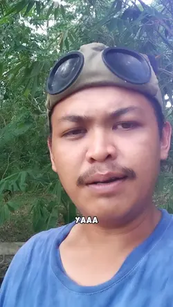 versi bugis