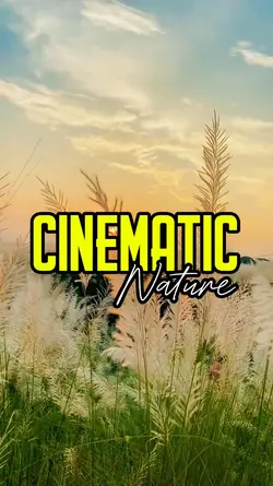 CINEMATIC