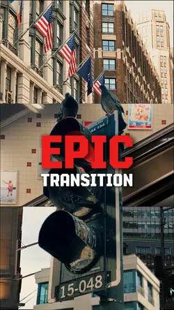 Epic Transition 