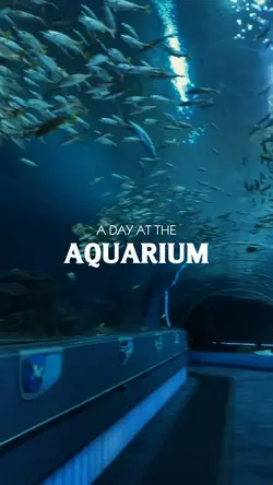 day at the aquarium