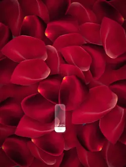 হরে কৃষ্ণ রাঁধে রাঁধ