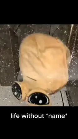 :o