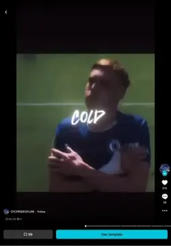 Palmer edit