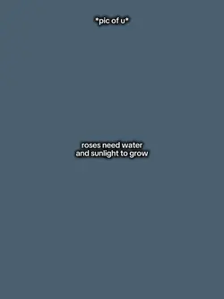 Roses need water