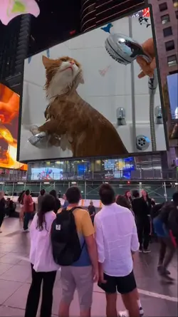 New York Screen