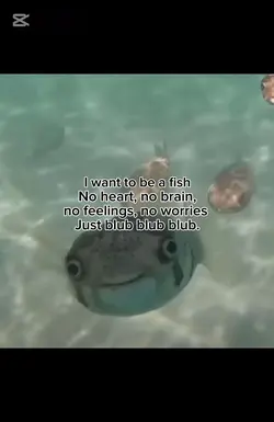 Blub blub