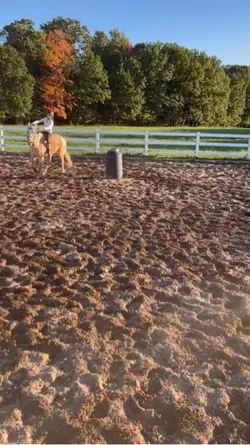 I’m sorry I am OBSES