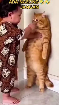 AKU BILANG GK ADA 