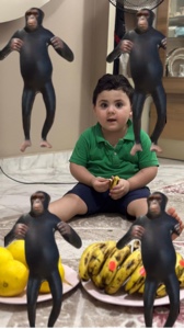 Dancing with monkeys