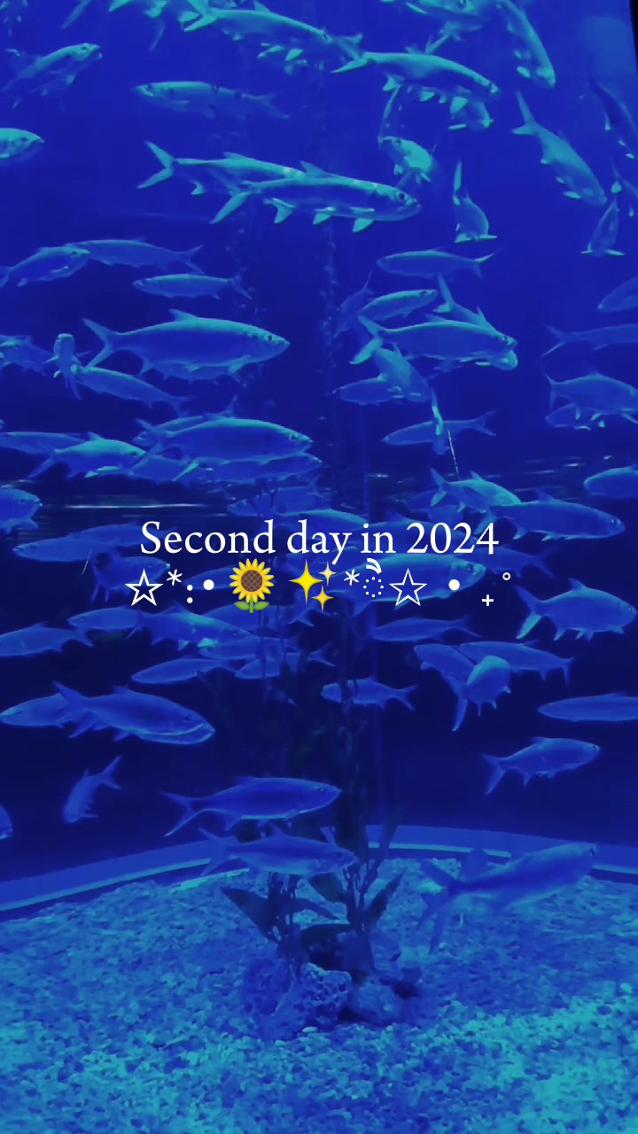 Second day in 2024