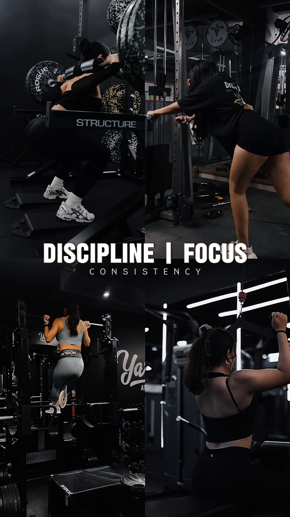 discipline focus