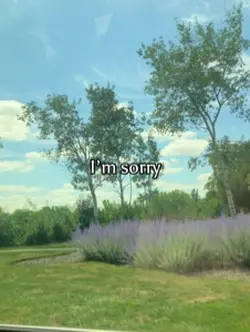 I’m sorry .