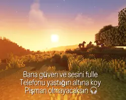 Sesi fulle
