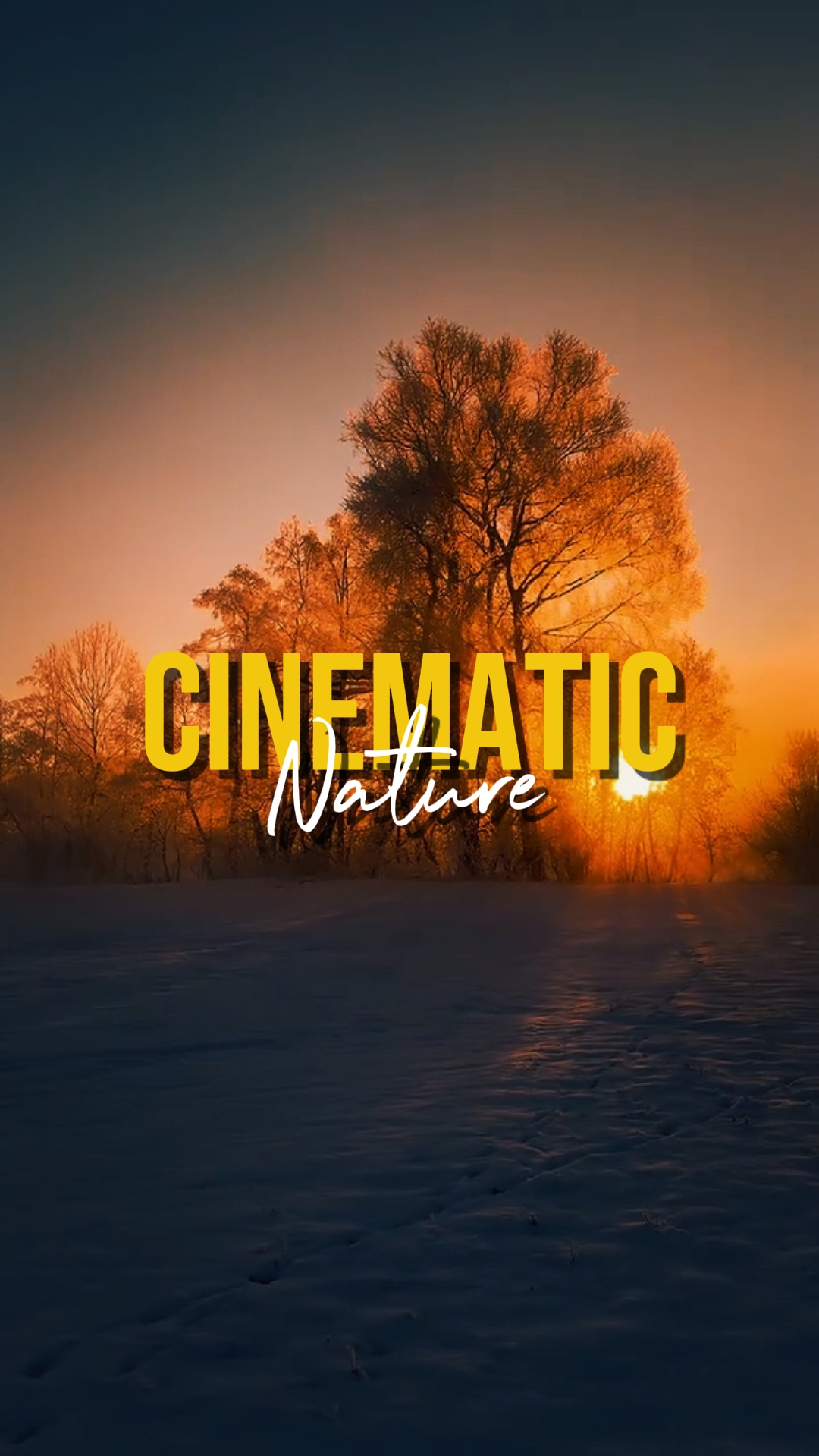 NATURE CINEMATIC