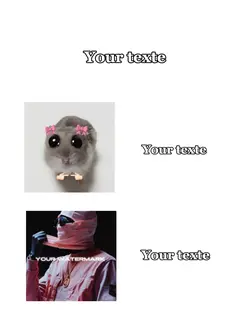 your texte