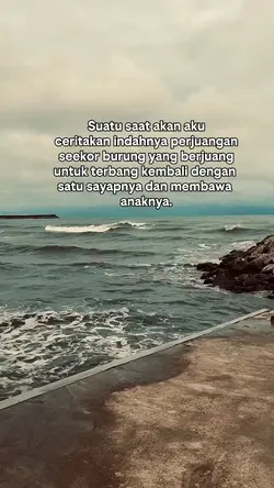 Perjuangan seeokor 