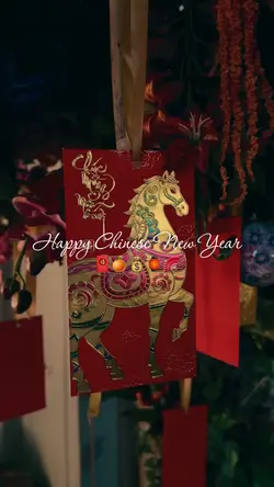 Chinese new year vlo