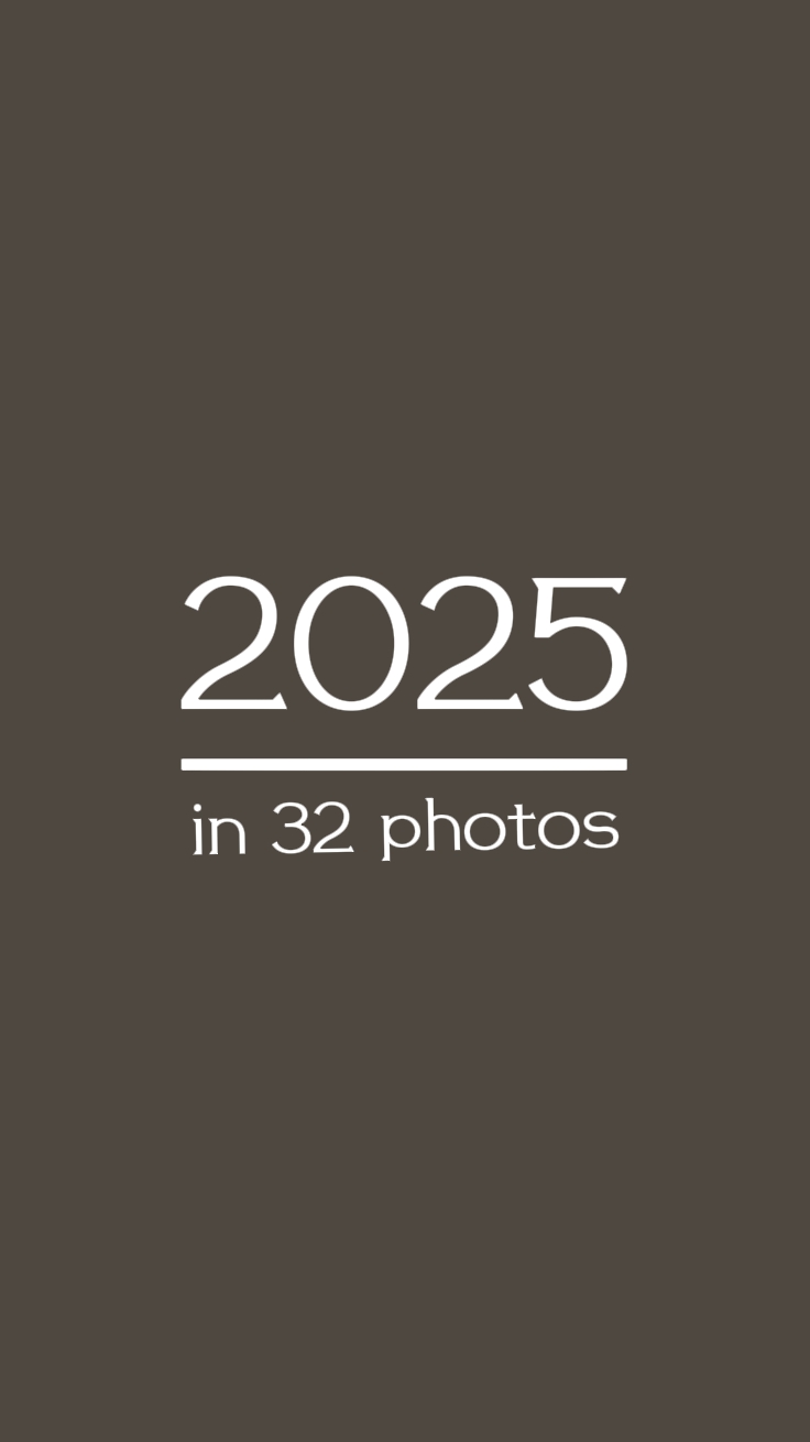 32 fotoğrafta 2025 