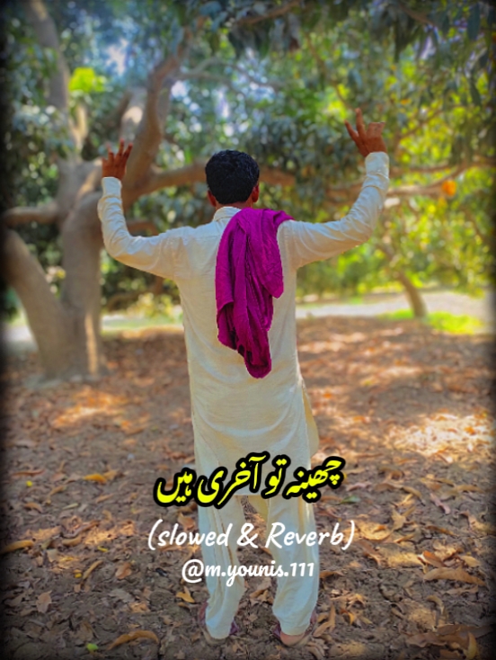 چھینہ تو آخری ہیں 