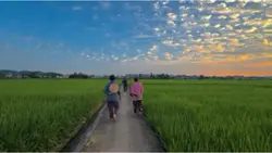 晚霞調色視頻