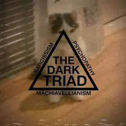 The Dark Triad