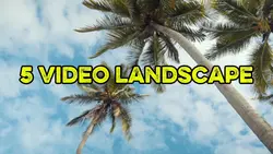 5 video landscape