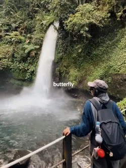 butterfly slowmo