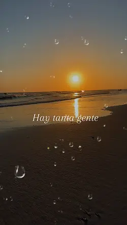 Frases y Reflexiones