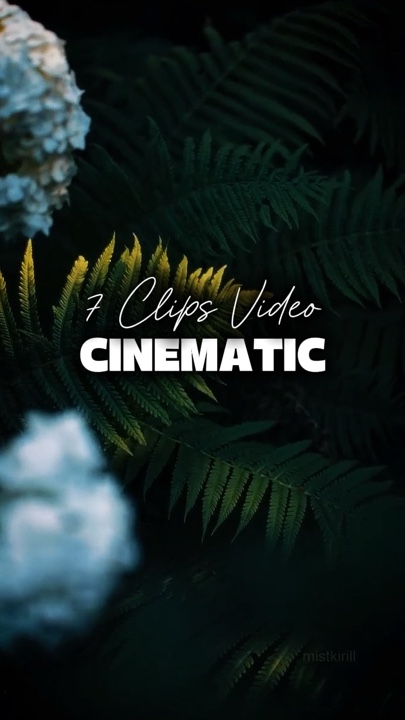 7 Videos Cinematic 